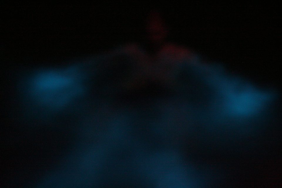 Bioluminescent Carl photo by Steven Isaacson