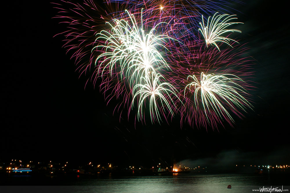 Sydney Fireworks Aug 11, 2013