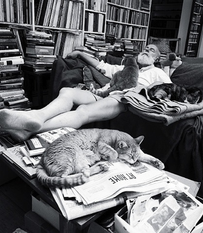 Edward Gorey with cats - Photographer unknown